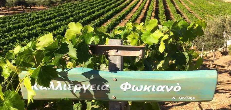 Στα καλύτερα ελληνικά κρασιά ο οίνος των Λειψών