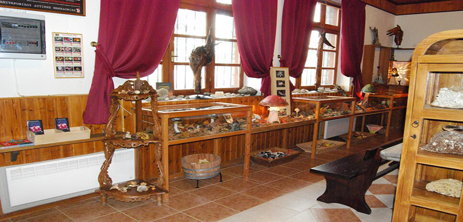 Μουσείο Μανιταριών στη Λάβδα Γρεβενών