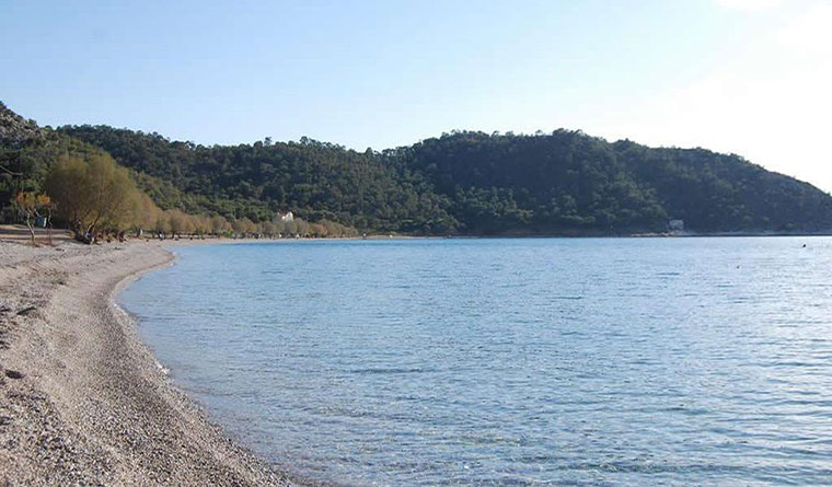 kanakia_salamina