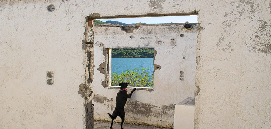Life In: Ομαδική έκθεση φωτογραφίας στο Trii Art Hub