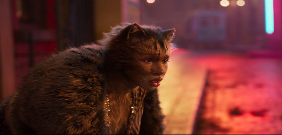 Cats
