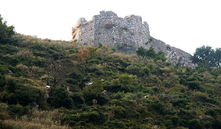 kiafa